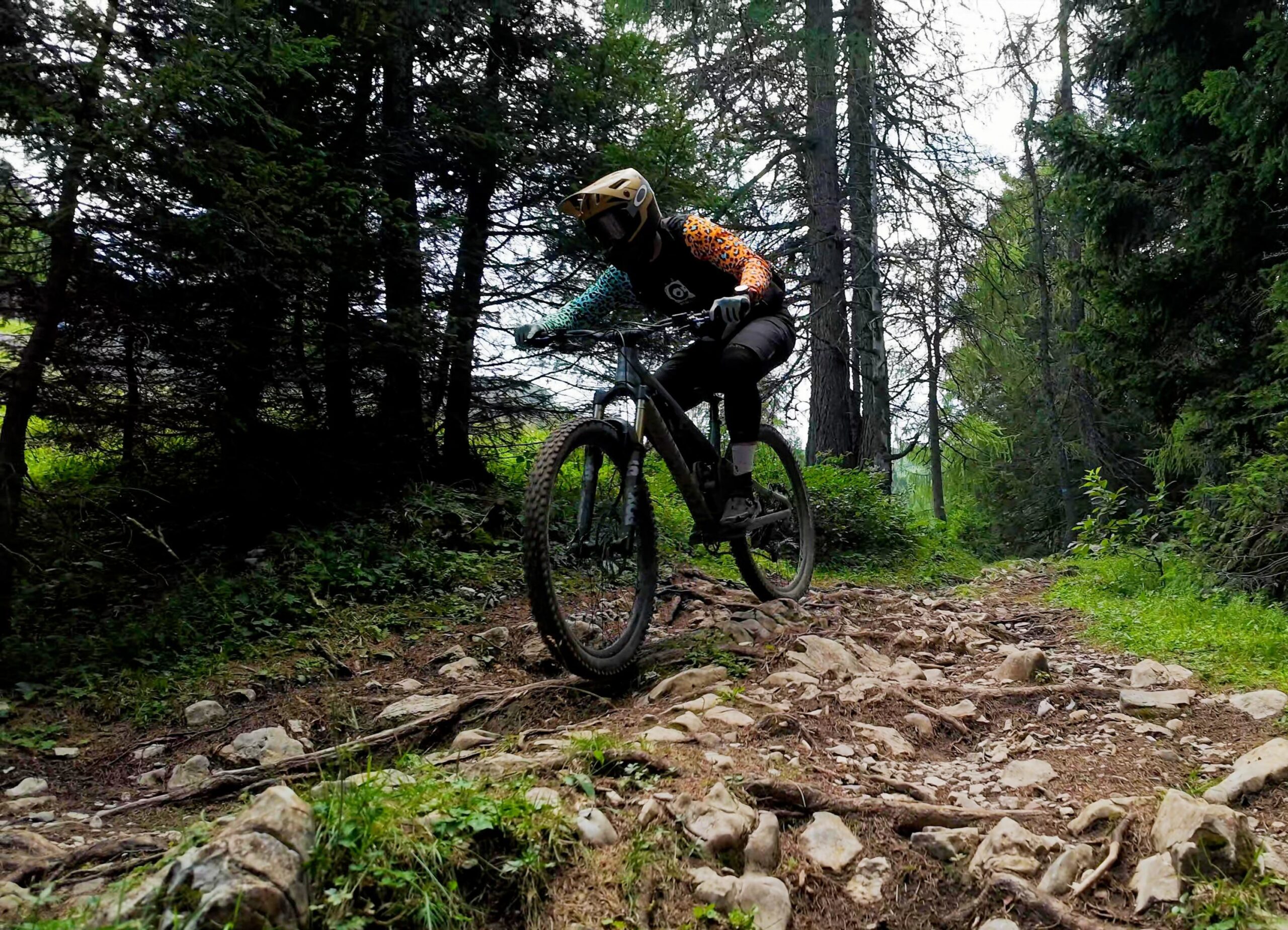 Paganella Bike Park